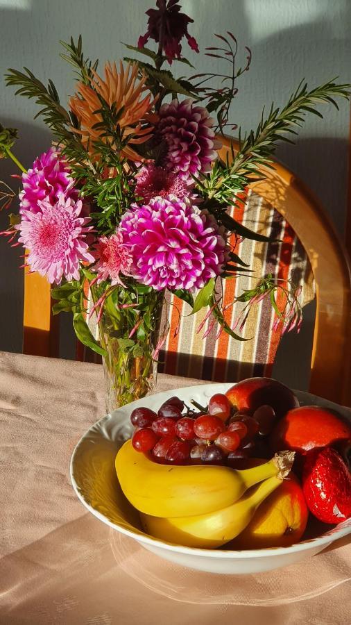 Century House B & B Flatlette Oamaru Esterno foto
